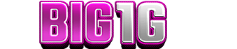 BIG1G